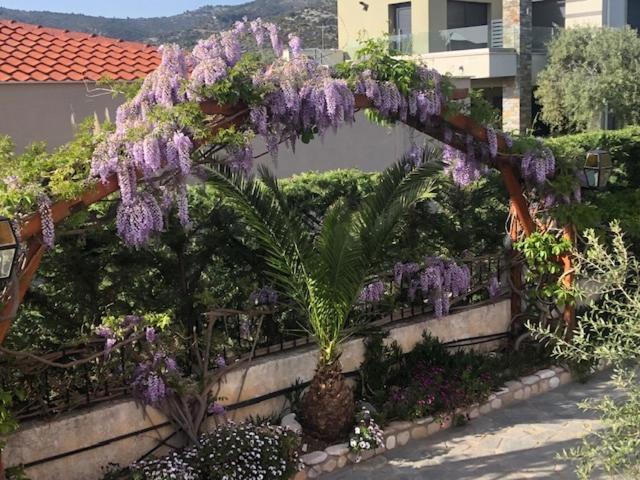 Aegean Villas Potos Eksteriør billede